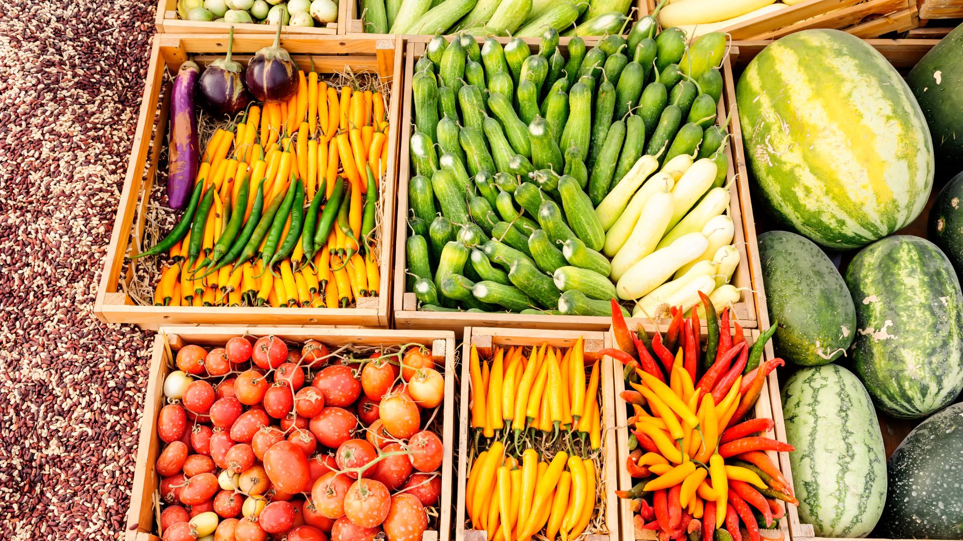 Como aumentar a visibilidade de produtos agro usando Google Ads