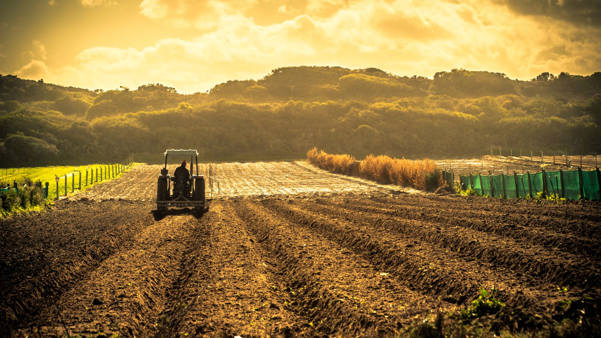 Como criar ofertas e promoções digitais que aumentam vendas agrícolas