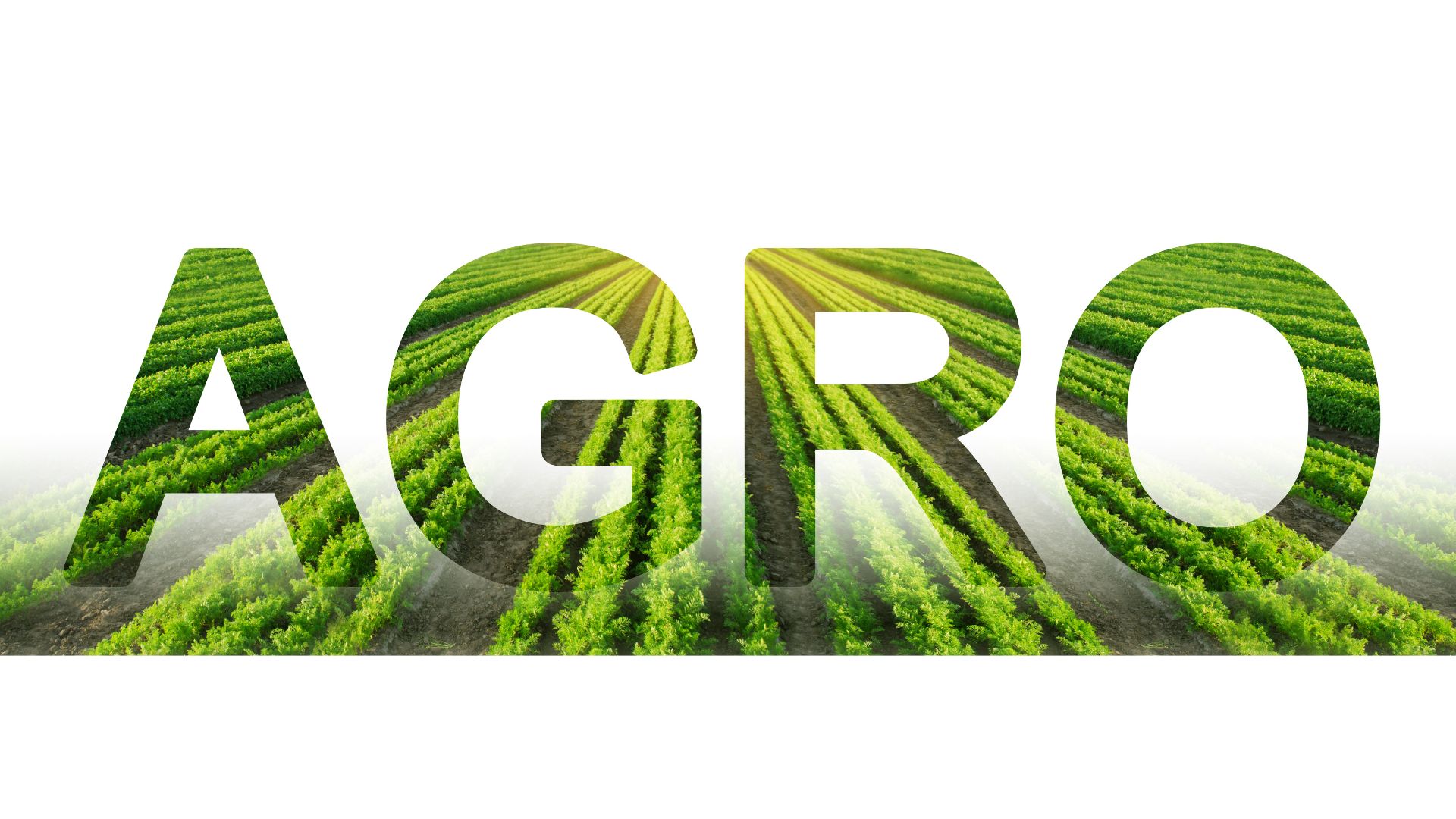 Google Meu Negócio para revendas agro: otimização passo a passo