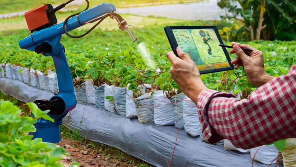 Descubra como anúncios segmentados podem transformar seu negócio agro