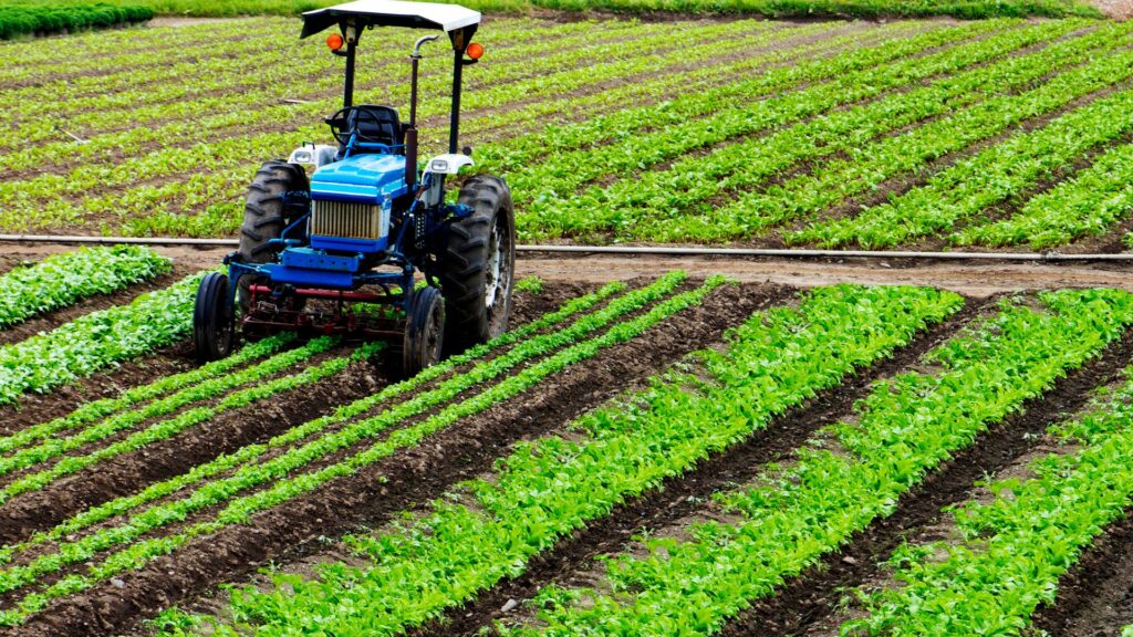 Descubra como usar o Google Ads para aumentar suas vendas de máquinas agrícolas usadas com anúncios eficazes e práticas de segmentação.